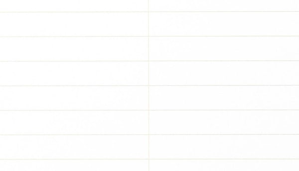 Closeup of Gregg-ruled page from Steno notepad.