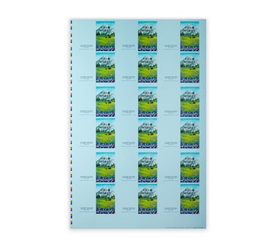 FNP 43f National Parks Press Sheet Mount Rainier