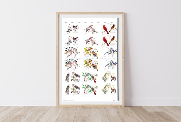 Nine birds frame hero